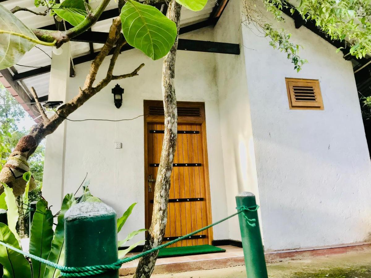 Ella Ostella Hostel Εξωτερικό φωτογραφία